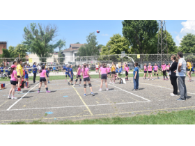 Nastavak sportske tradicije - VIII Festival odbojke u Pećincima
